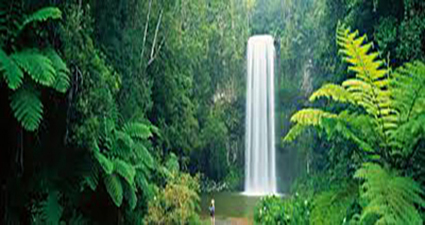 computer repairs Millaa Millaa